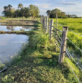 Fish farm 3