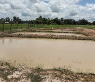Fish farm 1